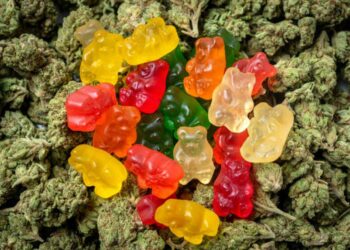 Which Ingredients Are Used To Make THC Gummies?